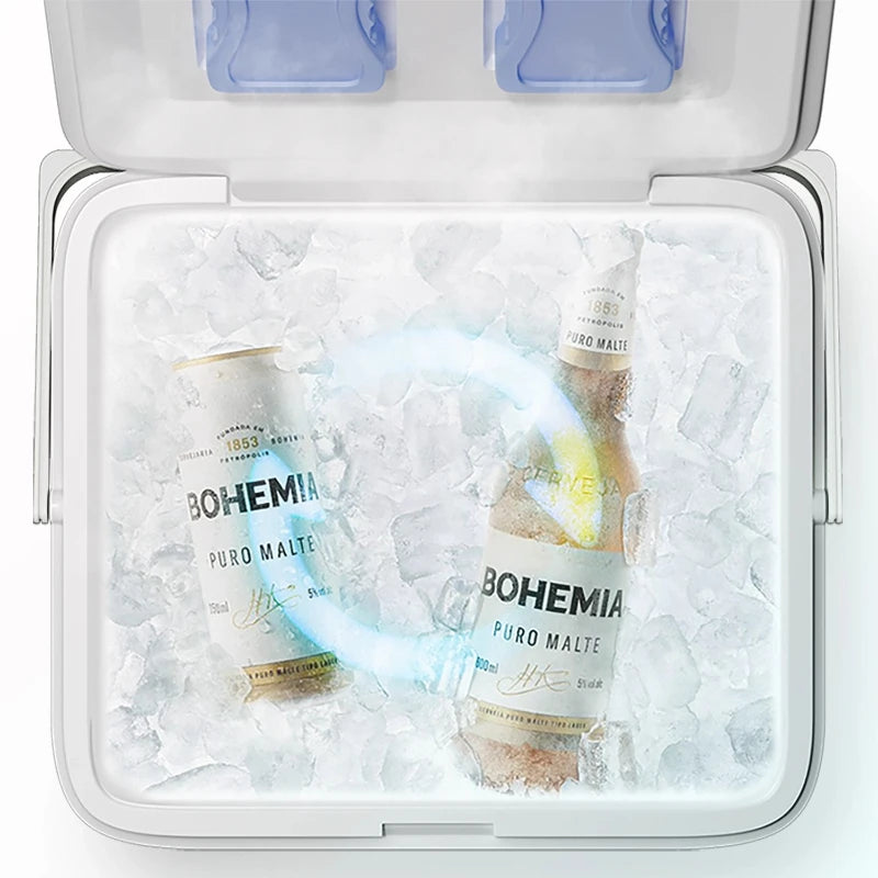 Portable Insulated Cooler