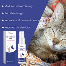 50ml Malic Acid Pet Spray - Neutralizes Flea Residue & Nourishes Coat