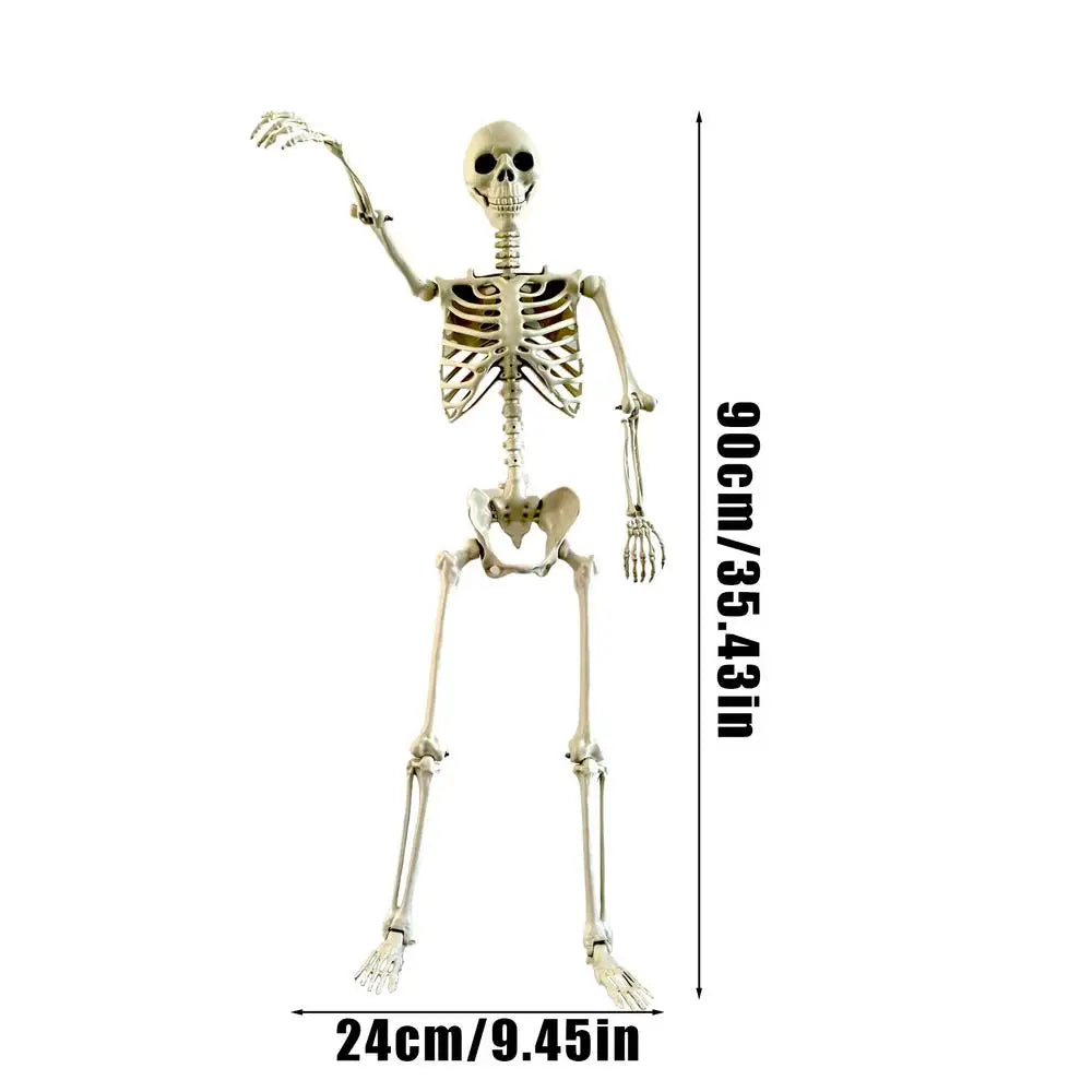 Life-Size Poseable Halloween Skeleton Decoration