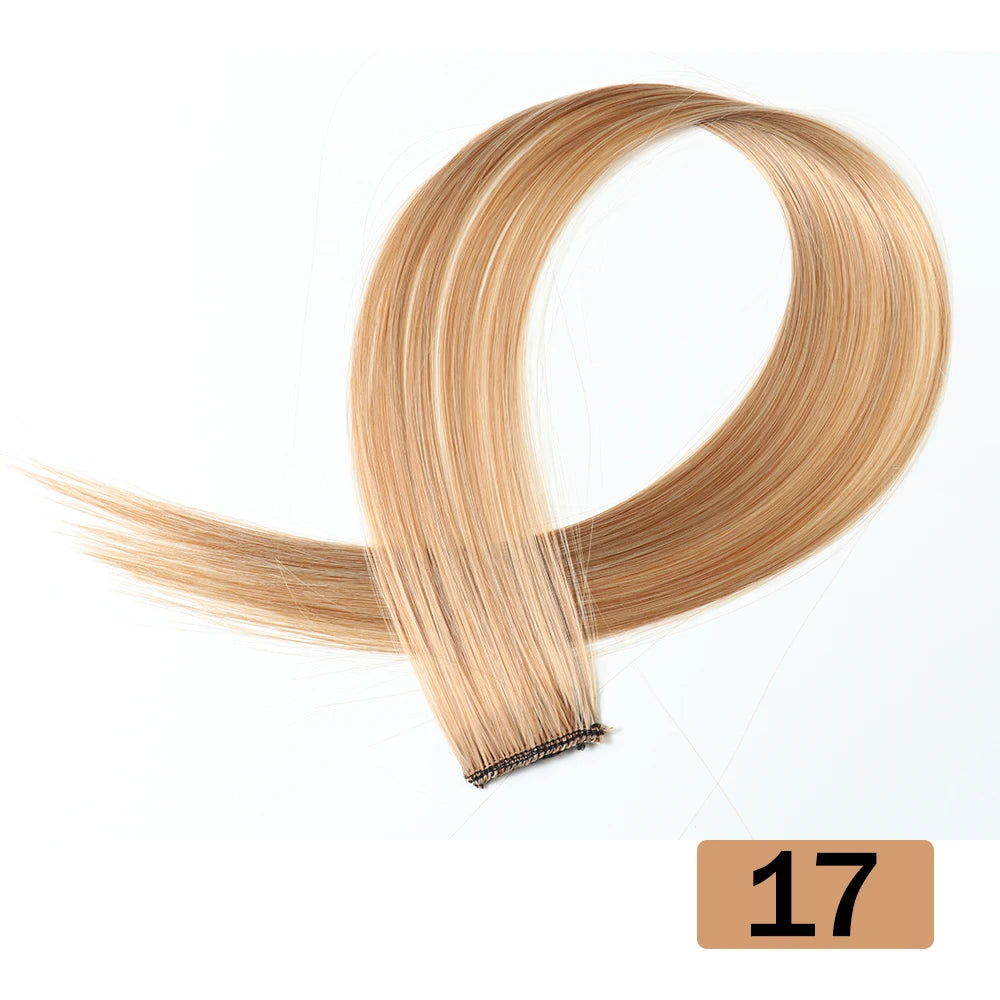 HAIRSTAR 22-Inch Synthetic Colored Clip-In Hair Extension