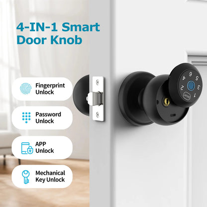 Ball-Shaped Smart Lock Fingerprint App-Controlled Electronic Touchscreen Keypad Door Lock