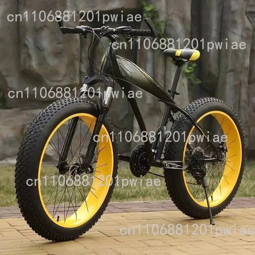 Large Tire Dual Shock Absorption Variable Speed Bicycle