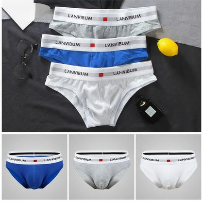 3pcs LORIEN CREST Cotton Low Waist Briefs