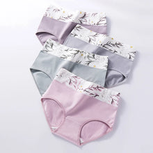 High Waist 4Pcs Cotton Panties