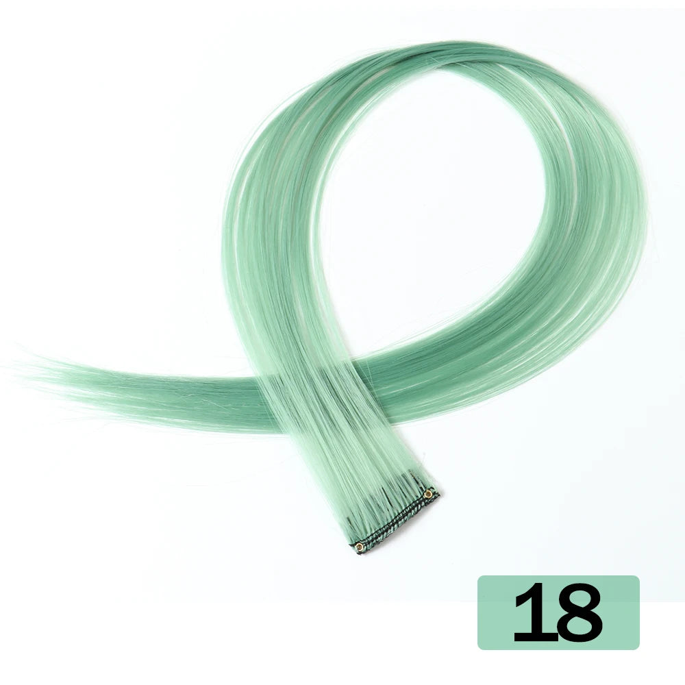 HAIRSTAR 22-Inch Synthetic Colored Clip-In Hair Extension