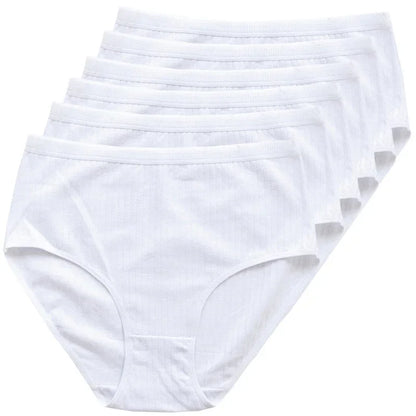 Chen Asta Women's Cotton High-Waist Briefs (6-Pack) - Breathable Plus Size Panties
