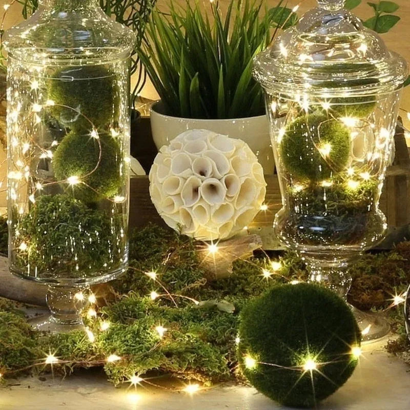 LED Fairy String Lights with Button Battery