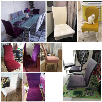 Luxurious Soft Velvet Stretch Chair Covers – Universal Slipcover Protector for Dining Room, Hotel & Office