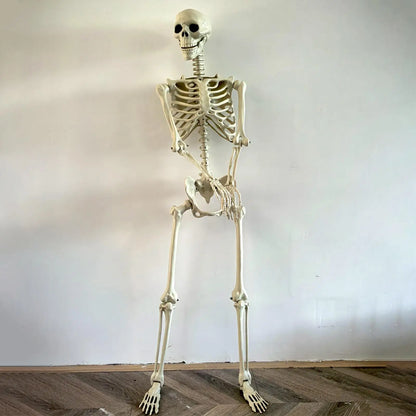 Life-Size Poseable Halloween Skeleton Decoration