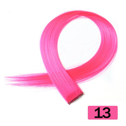 HAIRSTAR 22-Inch Synthetic Colored Clip-In Hair Extension