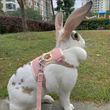 Rabbit Harness and Leash Set