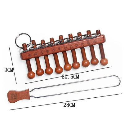 Classical Metal Wire Brain Teasers & IQ Puzzle Set