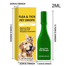 Topical Flea and Tick Treatment