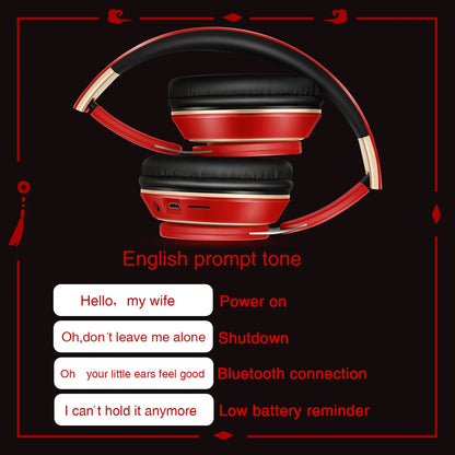 Wireless Over-Ear Bluetooth Headphones with Mic, FM Radio & MP3 Player