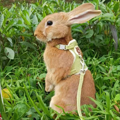 Rabbit Harness and Leash Set
