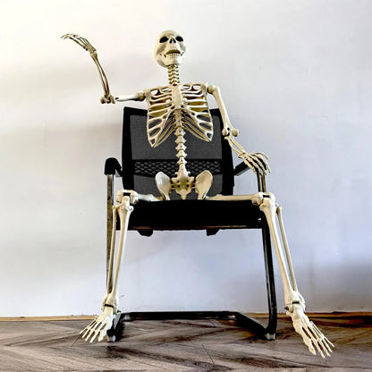 Life-Size Poseable Halloween Skeleton Decoration