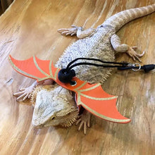 3 Pcs Adjustable Bearded Dragon Leash With Bat Wings