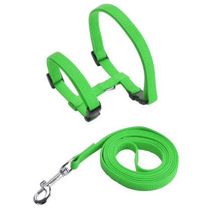 Rabbit/Cat Harness and Leash Set