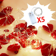 5Pack LED Mini String Fairy Lights