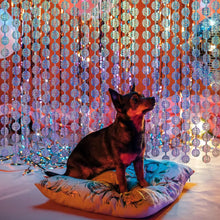 Disco Party Decorations Silver Foil Fringe Curtains