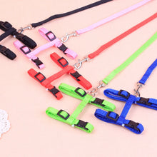 Rabbit/Cat Harness and Leash Set