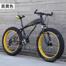 Large Tire Dual Shock Absorption Variable Speed Bicycle