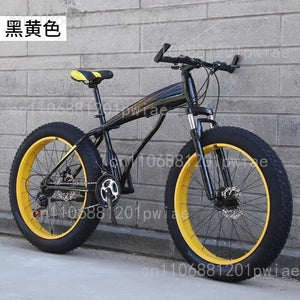 Large Tire Dual Shock Absorption Variable Speed Bicycle