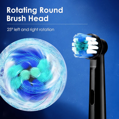 Electric Rotary Cleaning Tooth Brush With Timer & 8 Head
