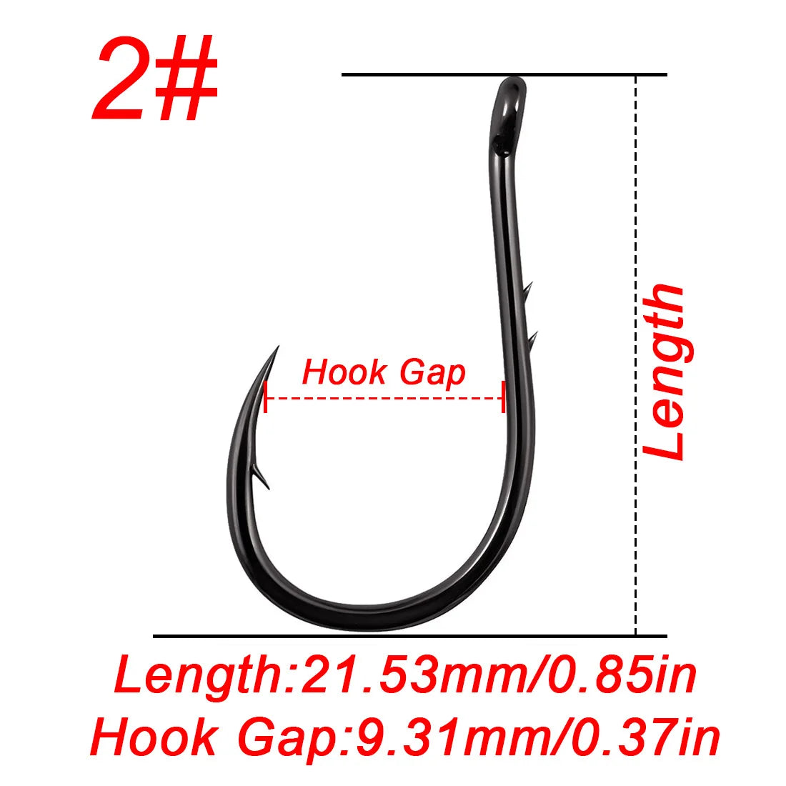 Offset Circle Hook