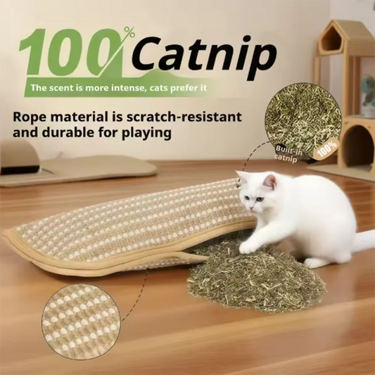 Scratcher Post Catnip
