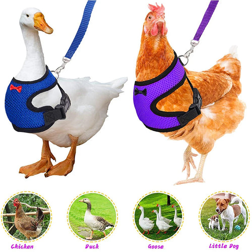 Adjustable Chicken Harness & Leash
