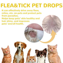Topical Flea and Tick Treatment