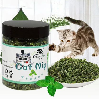 Organic 100% Natural Catnip Cattle Grass  Mint Taste