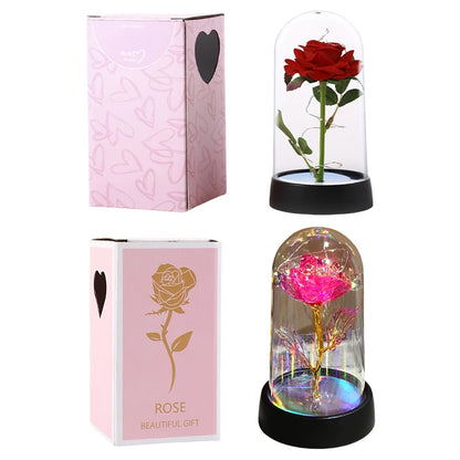 Artificial Eternal Rose LED Light in Glass Cover