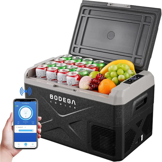 12 Volt Car Electric Cooler  APP Control