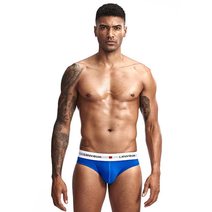 3pcs LORIEN CREST Cotton Low Waist Briefs