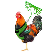 40968939995239|40968940028007|40968940060775|40968940191847|40968940224615