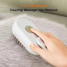Pet Steam Cat Comb Electric Sprayer for Massage