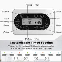 Smart APP Controlled Stainless Steel Double Meal Feeding Dispenser