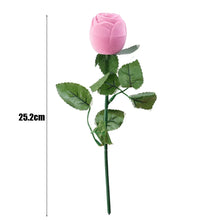 Heart Love Necklace with Rose Flower Gift Set