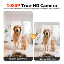 8L Smart Automatic Pet Feeder with 1080P HD Camera