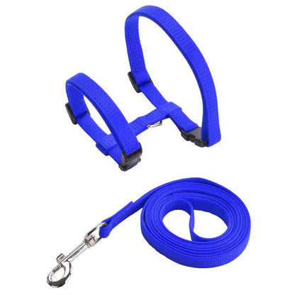 Rabbit/Cat Harness and Leash Set