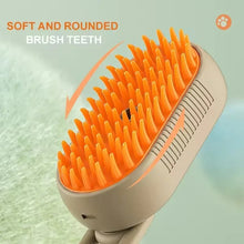 Pet Steam Cat Comb Electric Sprayer for Massage
