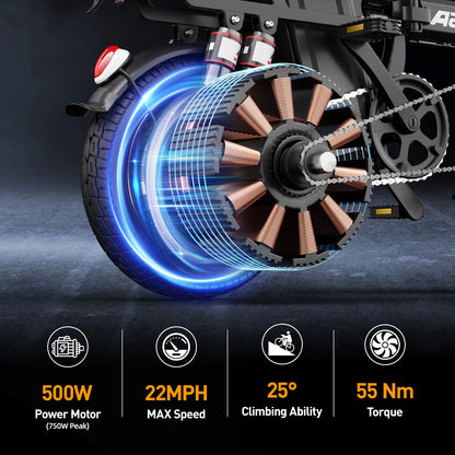 Aairsk RS5 14Inch 500W E-bike