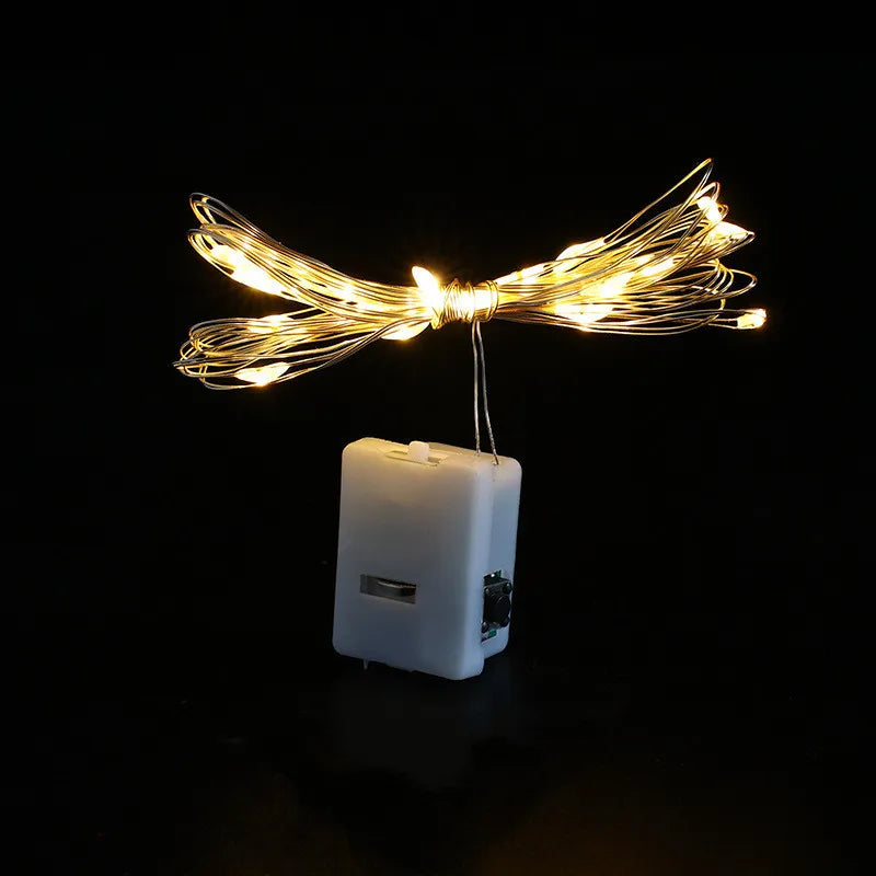 LED Fairy String Lights with Button Battery