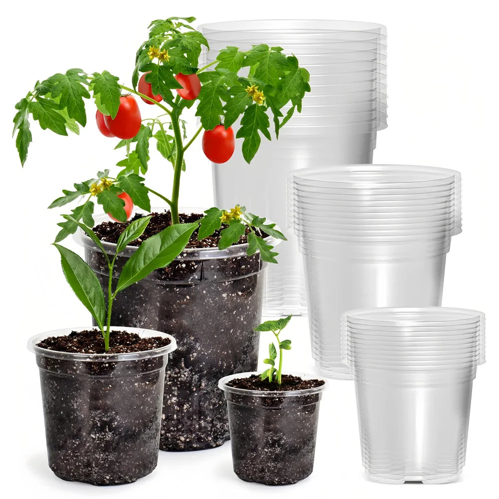 30-Pack Clear Plastic Nursery Pots with Drainage Holes