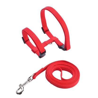 Rabbit/Cat Harness and Leash Set