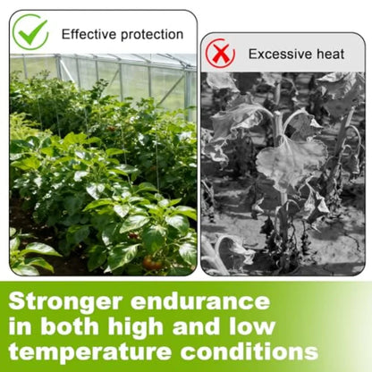 Polycarbonate Roofing Sheet Thick Rainproof Transparent Insulated Clear Greenhouse Panels
