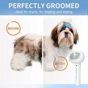 Pet Steam Massage Brush Safe Round Head Soft Teeth Spray Removal Comb