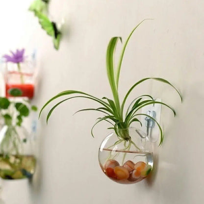 Wall-Hanging Acrylic Plexiglass Fish Bowl Aquarium